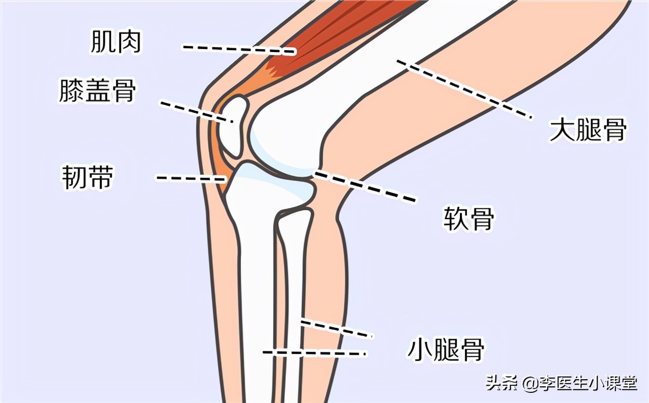 老年人膝盖下蹲和起立疼痛,老年人下楼梯膝盖疼怎么回事