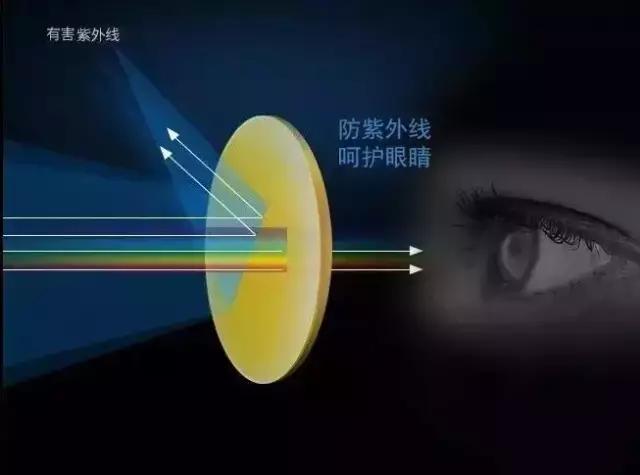 儿童电子显微镜真的1000倍,日本儿童便携显微镜1200倍