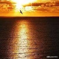 打破日本技术*锁封**,中国碳素鱼竿重大突破,这样的鱼竿谁都想要