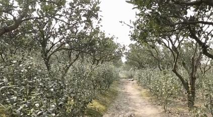 爱茶之人必去的九大茶区,爱茶之人九大茶区
