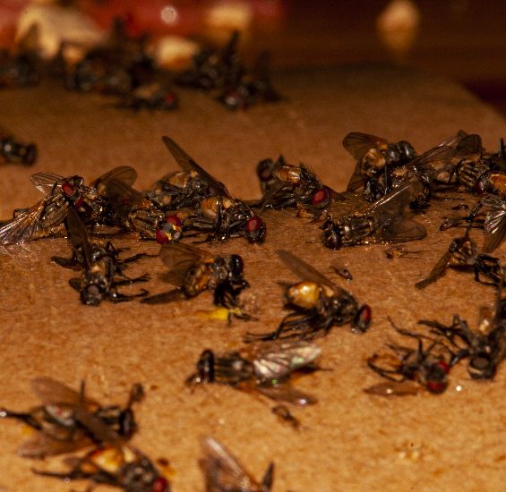 尼康d700有hdr功能吗,尼康d700二手还值多少钱