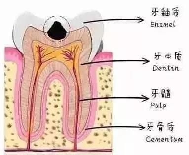 牙齿小洞不补下一句是什么,牙齿小洞不补大洞吃苦的意思