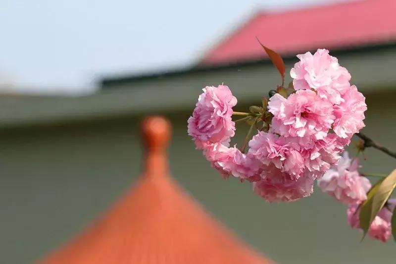 井冈山大学在井冈山上吗？19级萌新请听清——吉安火车站下车