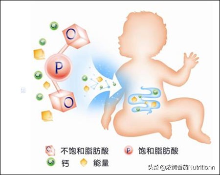 婴儿奶粉正确的配制及喂养方法,婴幼儿奶粉营养品知识讲解