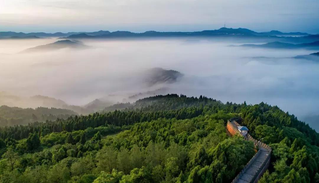 全球最大的城市森林公园,全球最绿色的城市