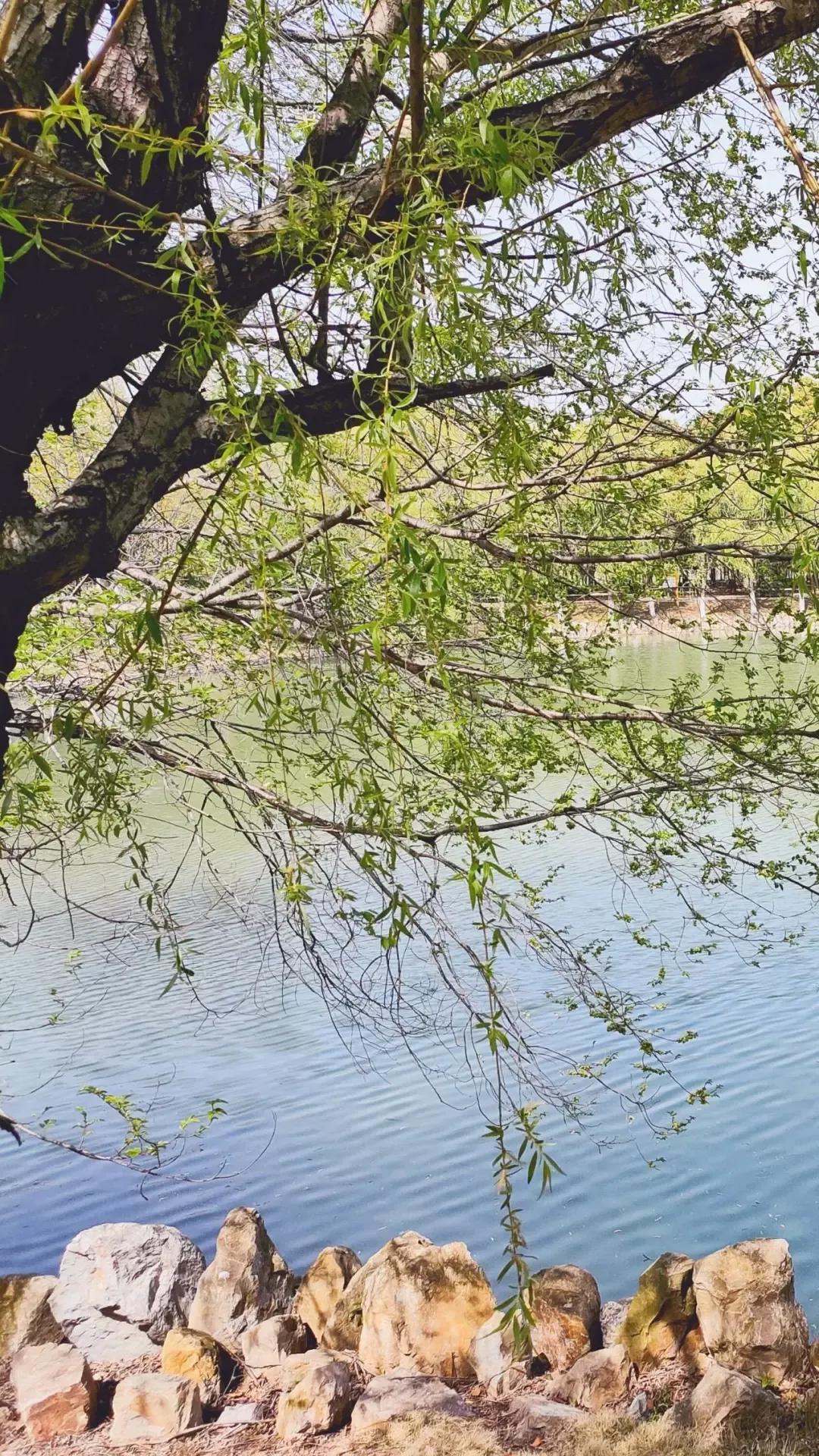 淮南师范学院在安徽排名,淮南师范学院安徽省排名