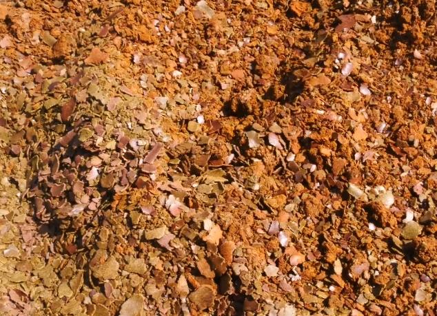 饼肥如何使用效果最好,十种不良的坏习惯