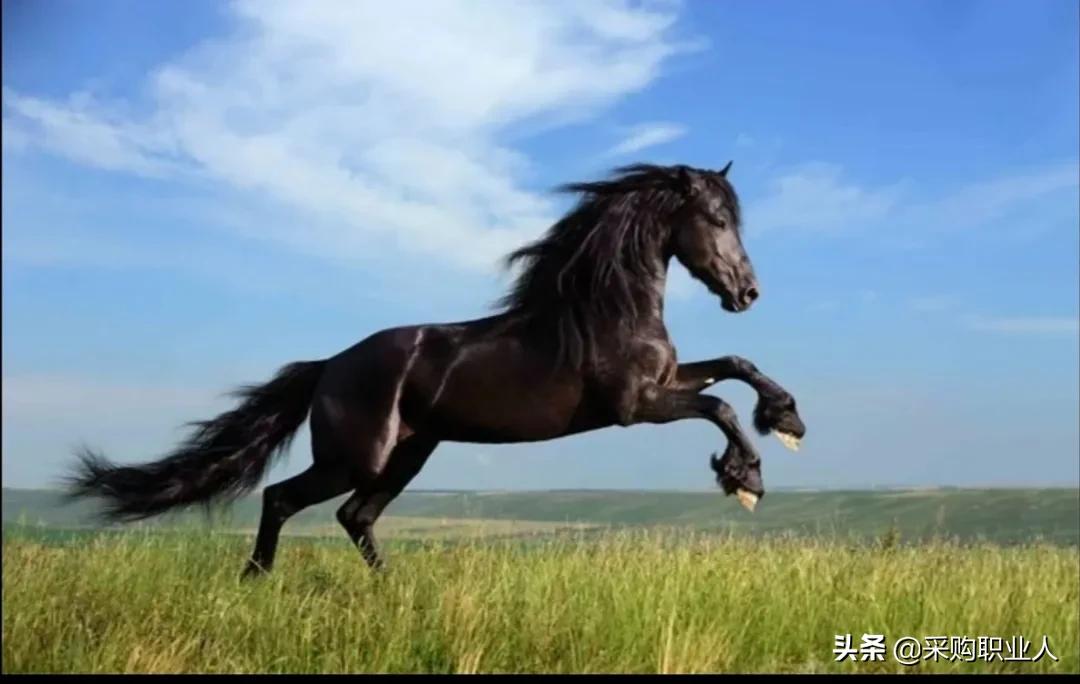 长电科技业绩这么好为什么不涨,长电科技半年业绩最新信息