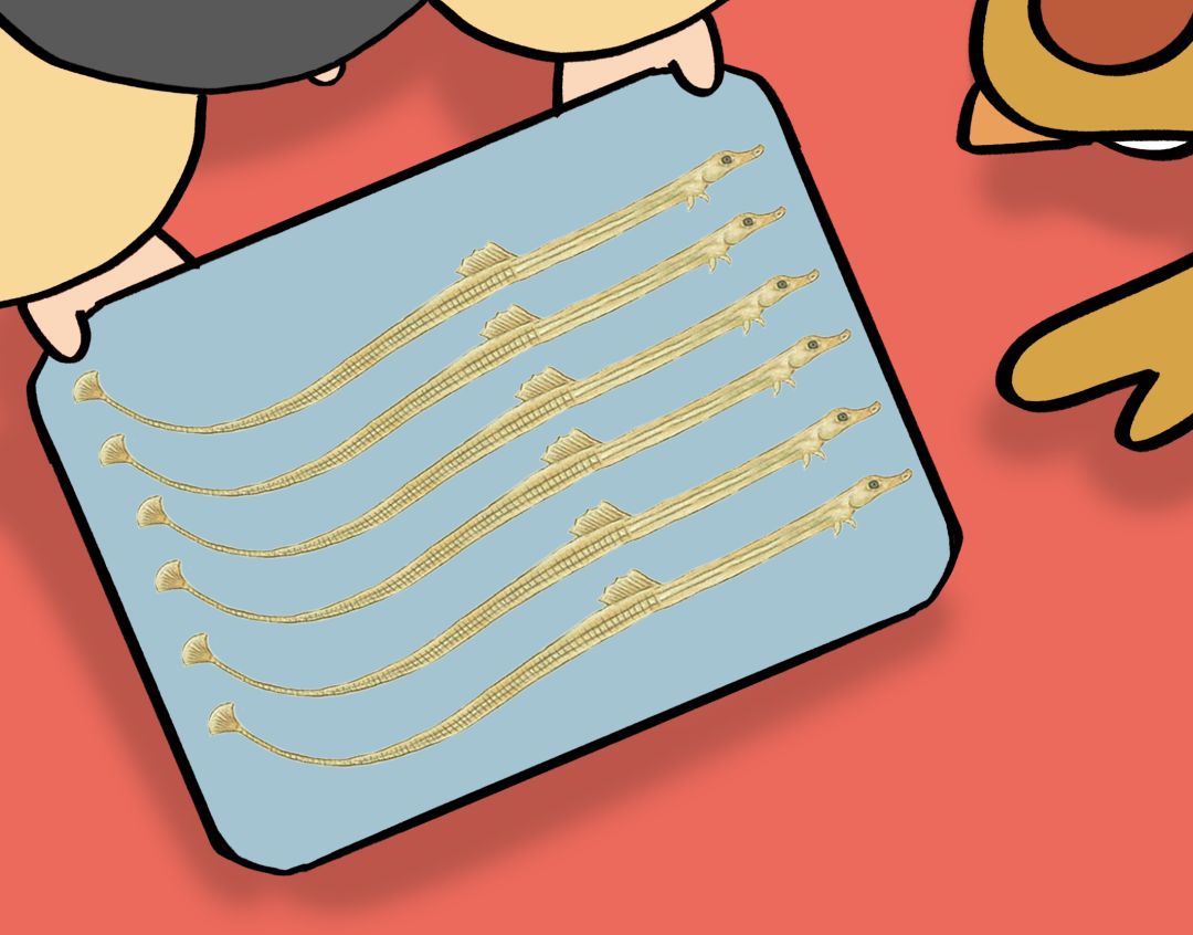 没错，你听过的“七里香”竟然还能吃