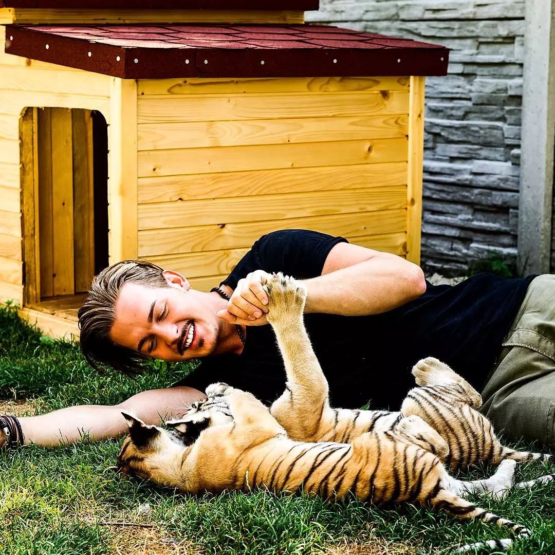 放弃百万年薪，去非洲撸猫？长腿版小李子引63w人舔屏：看我看我