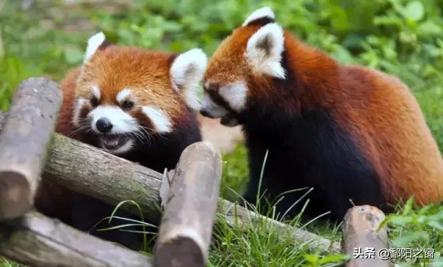 广西自驾贵州游玩攻略,贵州大小七孔游玩攻略