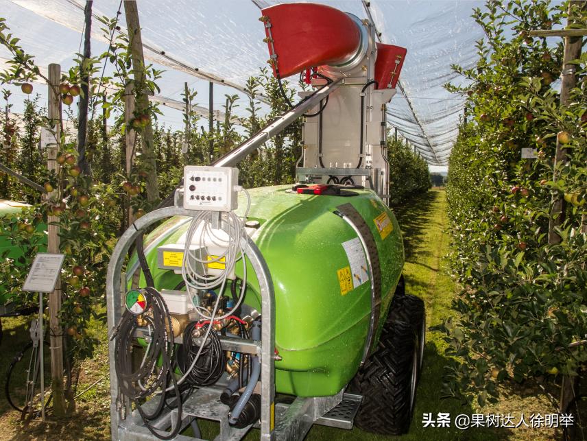 苹果黑点防治最好的是什么药,苹果黑点病用啥药防治