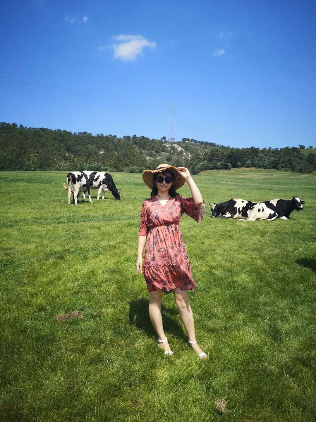 在展动力工作超过3年是什么样的体验?