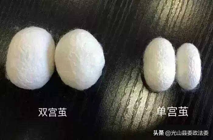 蚕丝被盖了几年烂了,蚕丝被被曝光了