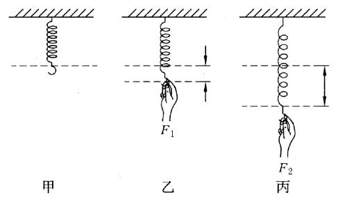 八年级物理第七章力复习课视频,八年级下册第七章力的专题