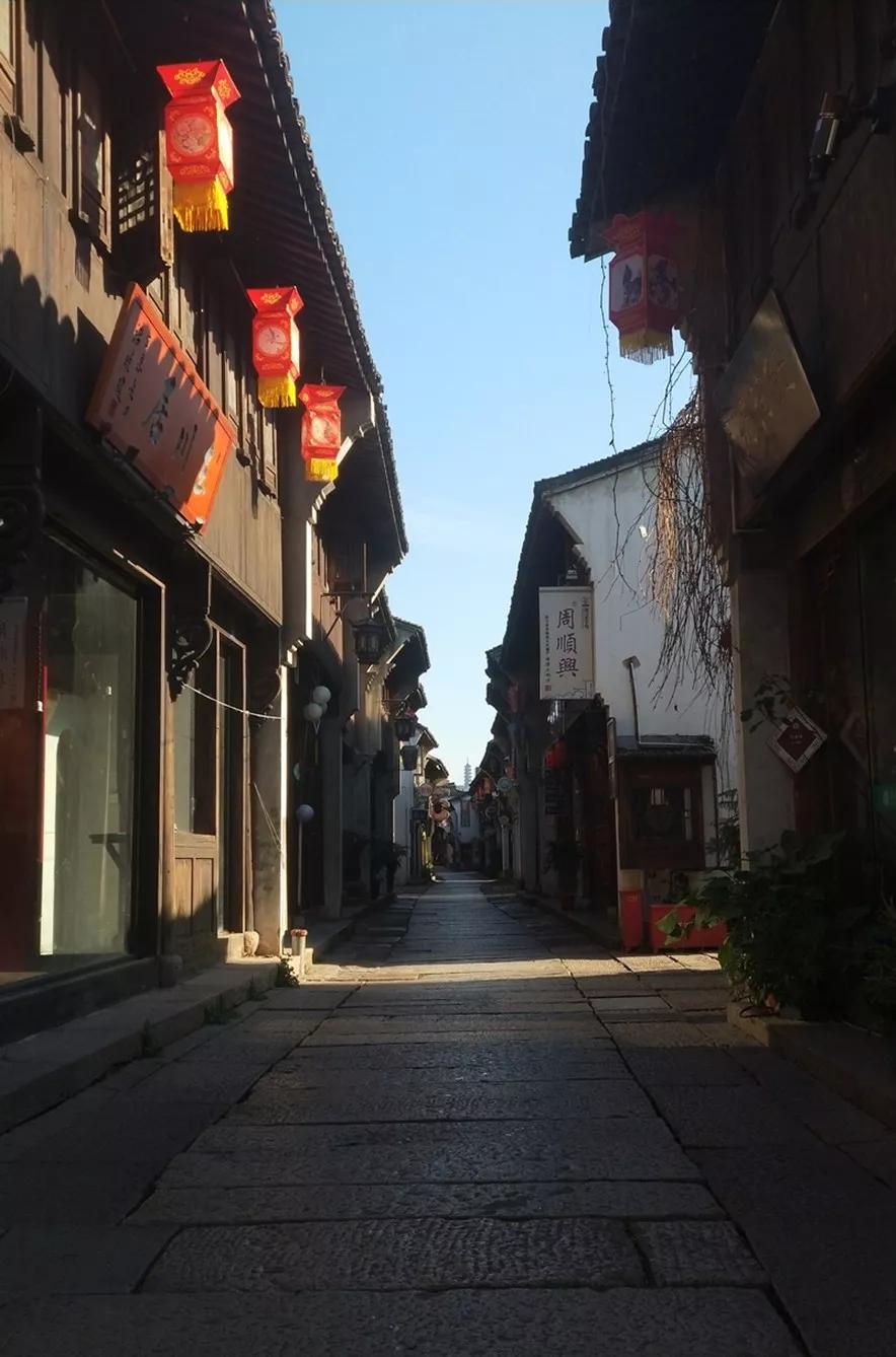 萌宠店动物的迷惑行为大赏,萌宠店曝光