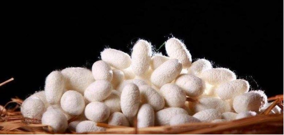 真丝为什么这么贵,真的真丝和假真丝的区别