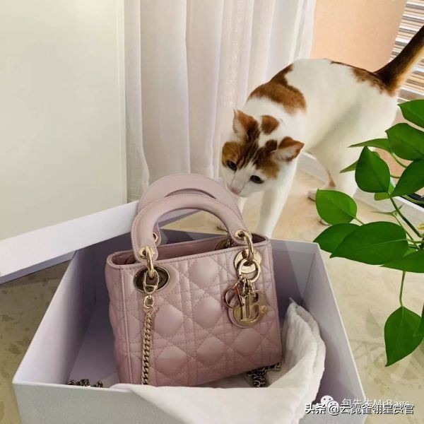 非常好看的宠物包,大家的包都带什么玩偶