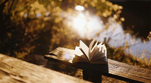 书香溢中达知识伴我行——读后感投票开始啦！