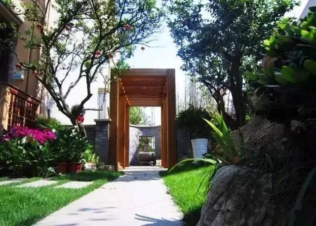 北方庭院室外耐寒植物,庭院驱蚊效果最好植物