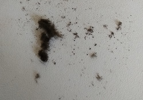 小米air13.3拆机,小米air13寸拆机换电池