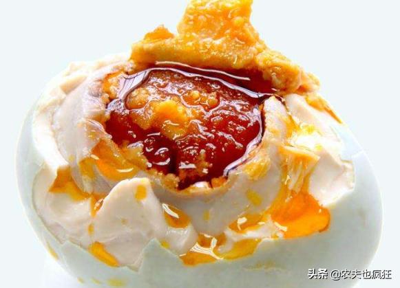 广西北部湾红树林海鸭蛋央视,广西红树林海鸭蛋视频