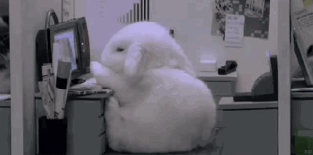 儿童改善圆肩驼背拉伸动作,一条毛巾改善圆肩驼背动作