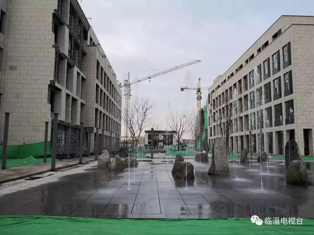 淄博市经济社会发展现场观摩点评,2020年度淄博市经济社会发展