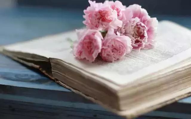 名著阅读红与黑,黑塞玻璃球游戏讲什么