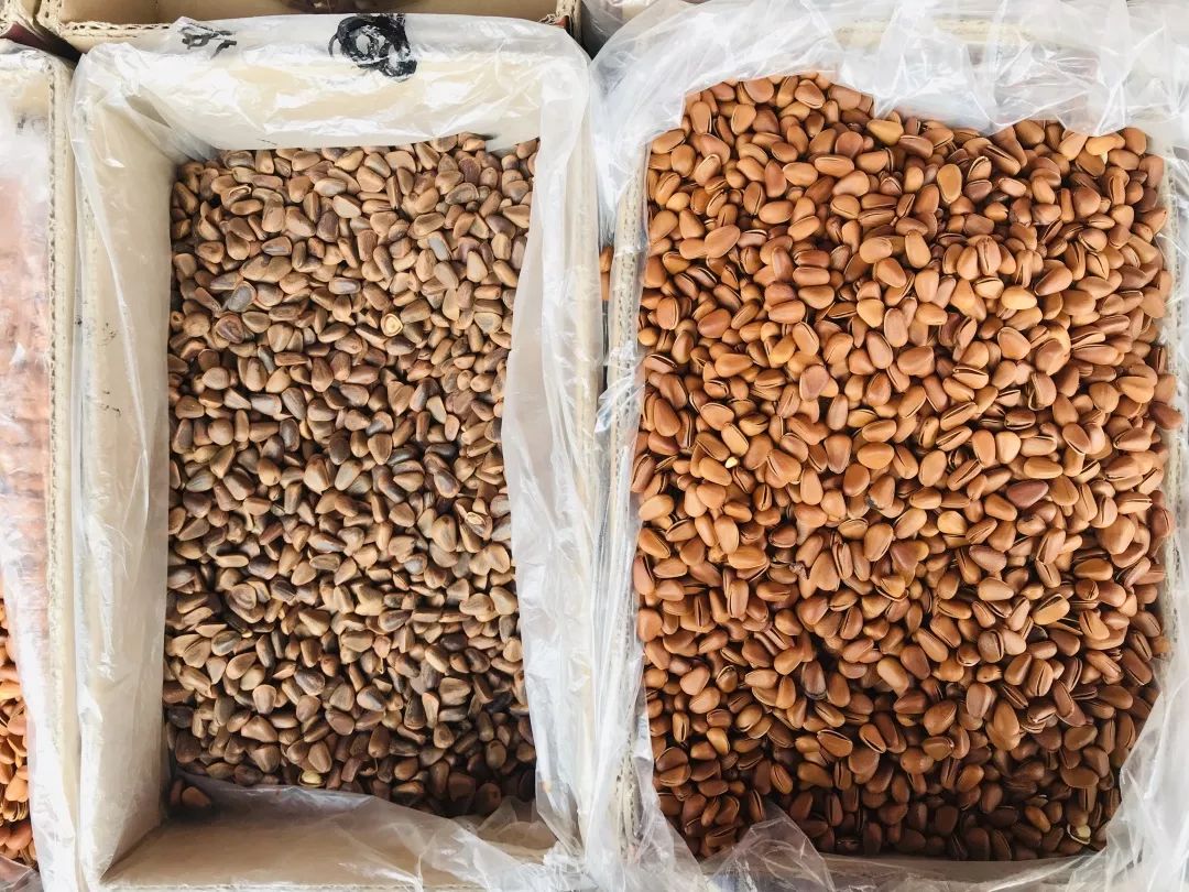 2024成都年货市场一览表,春节成都年货市场