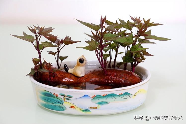 春天里最不适合吃的几种芽,春季常见芽类食物