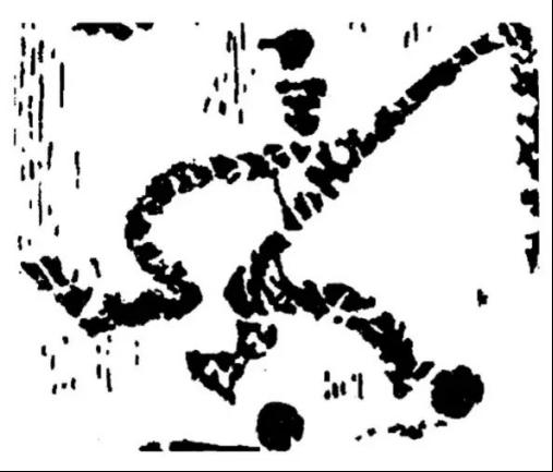 古代蹴鞠图片大全,古代足球蹴鞠怎么念