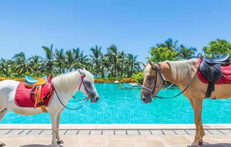 索菲特酒店旅游攻略,索菲特酒店三亚团游