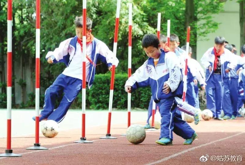 苏州几所学校停学通知最新,苏州的哪些学校被停课了