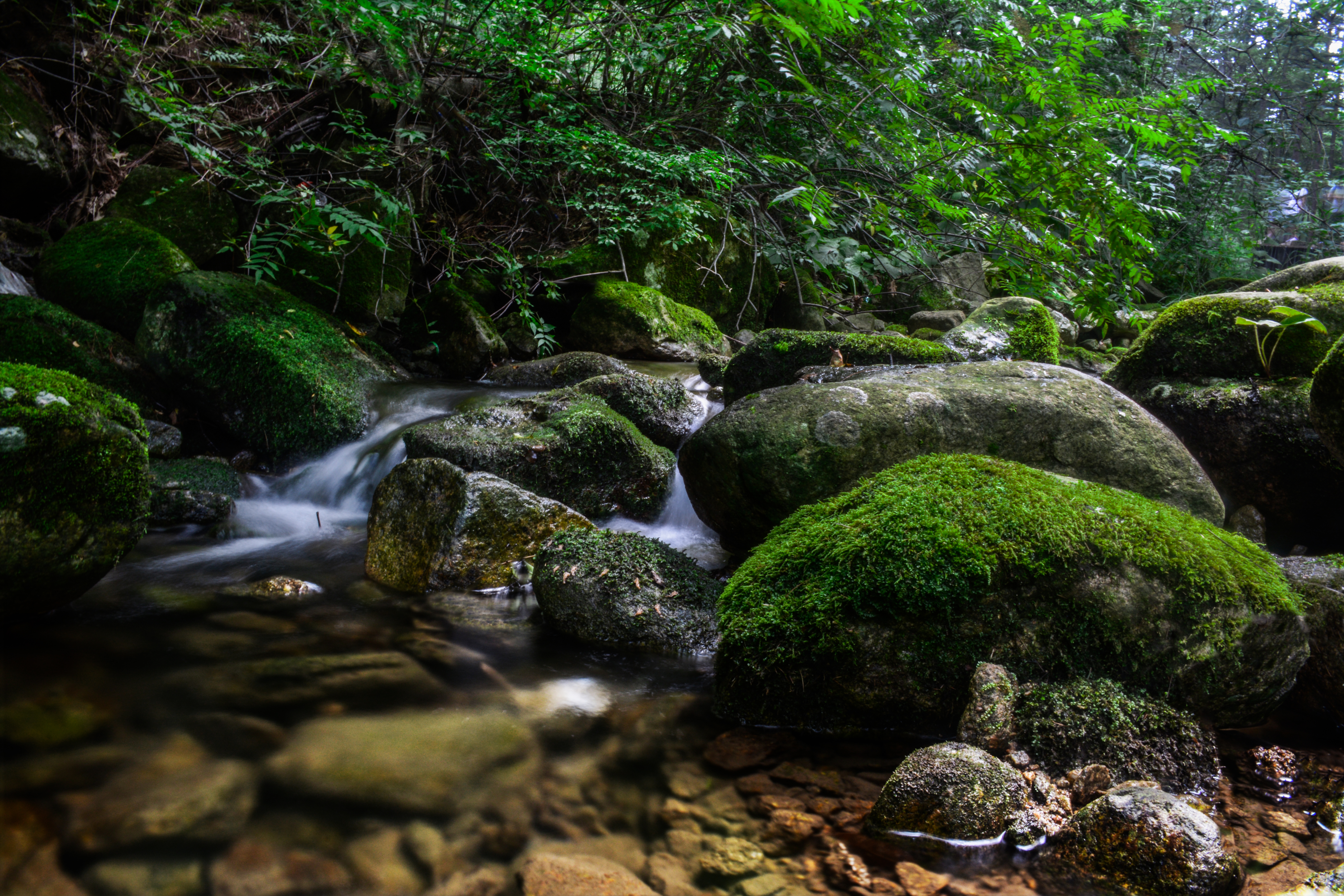 重渡沟走哪个沟好,重渡沟两天一夜最全攻略