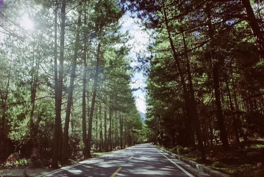 比远方更远全集,青藏和西北自驾游攻略图片欣赏