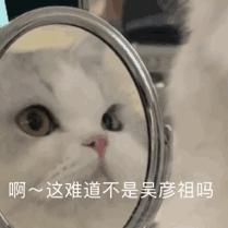 表情包想揍你一顿,你想挨打吗表情包