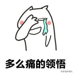 买大牌包包要买最新款吗,买大牌包包省钱攻略