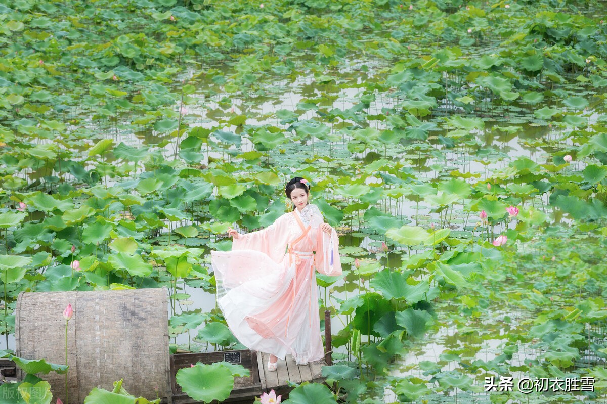 苏曼殊诗词11首,苏曼殊10首诗