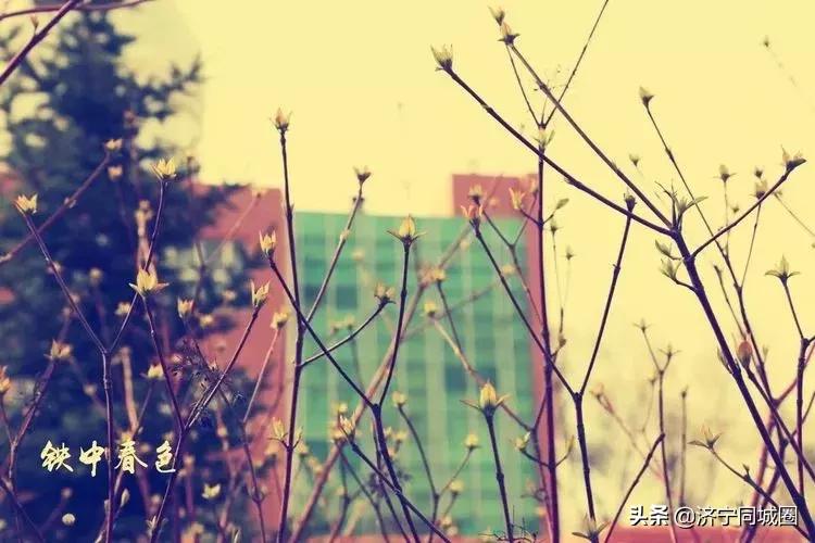 鍏栧窞閾佷腑鍘嗕换鏍￠暱,鍏栧窞閾佷腑93灞婃瘯涓氱収