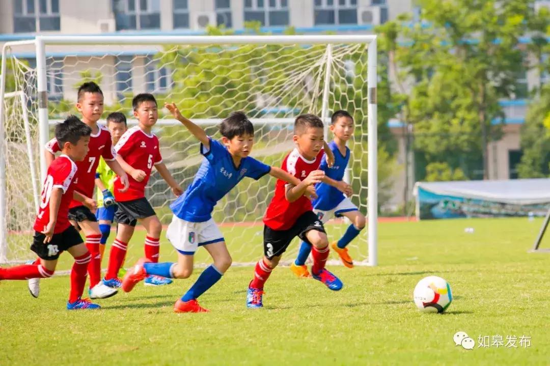 如皋娃酷暑竞技！人民日报、光明日报都关注了......