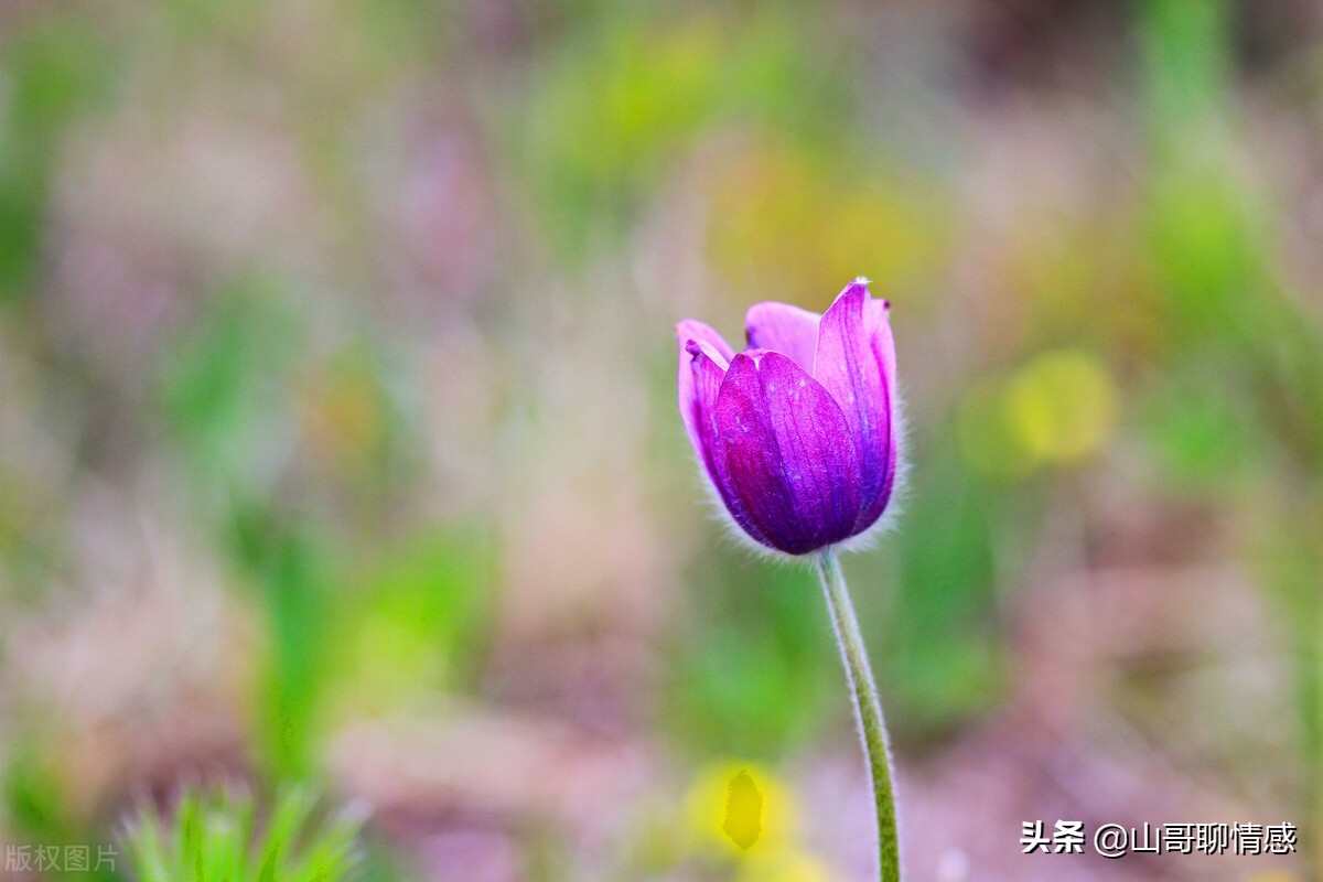 当你感到绝望的时候来听听这首歌,当你觉得绝望的时候该怎么办