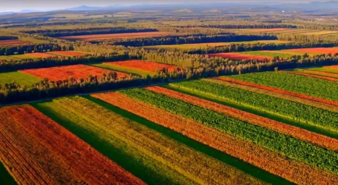 你好，我是“宝藏”城市——赤峰