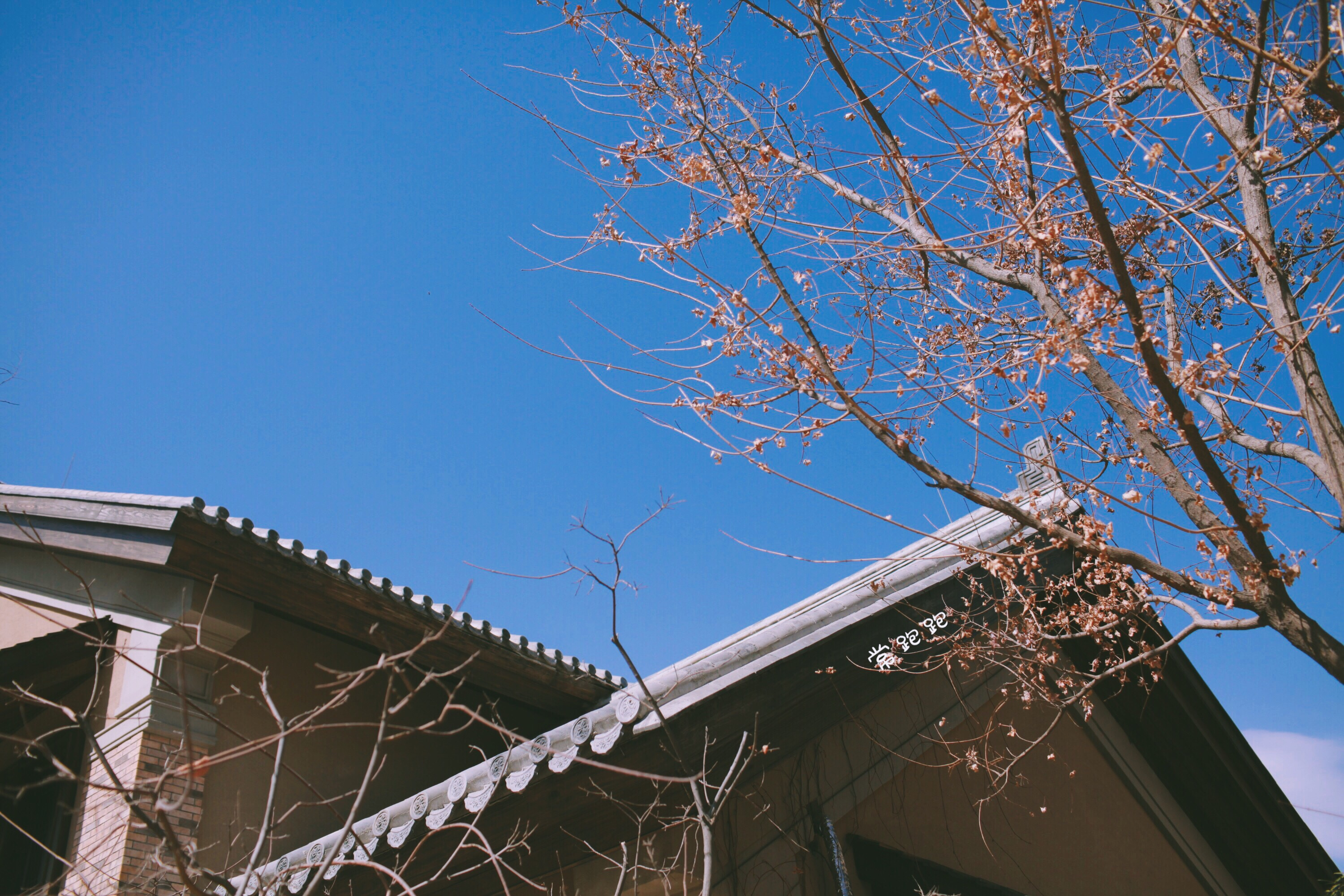 历史上诸多转折点都发生在易水流域这里到底聚着怎样的灵气