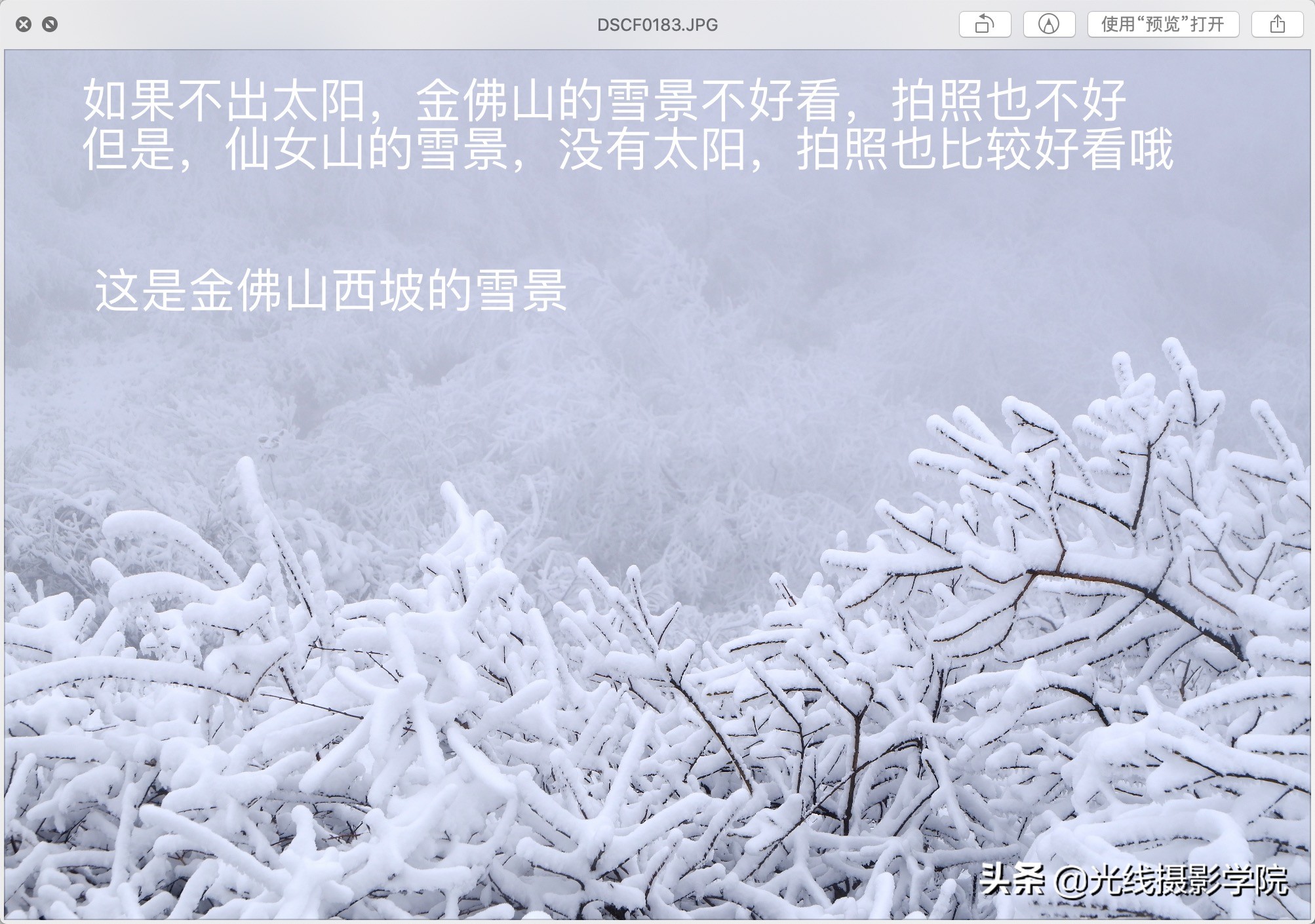 重庆金佛山冬季风景,重庆市金佛山旅游景区在下雪吗