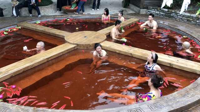 重庆人对东北人印象,重庆人有北方血统