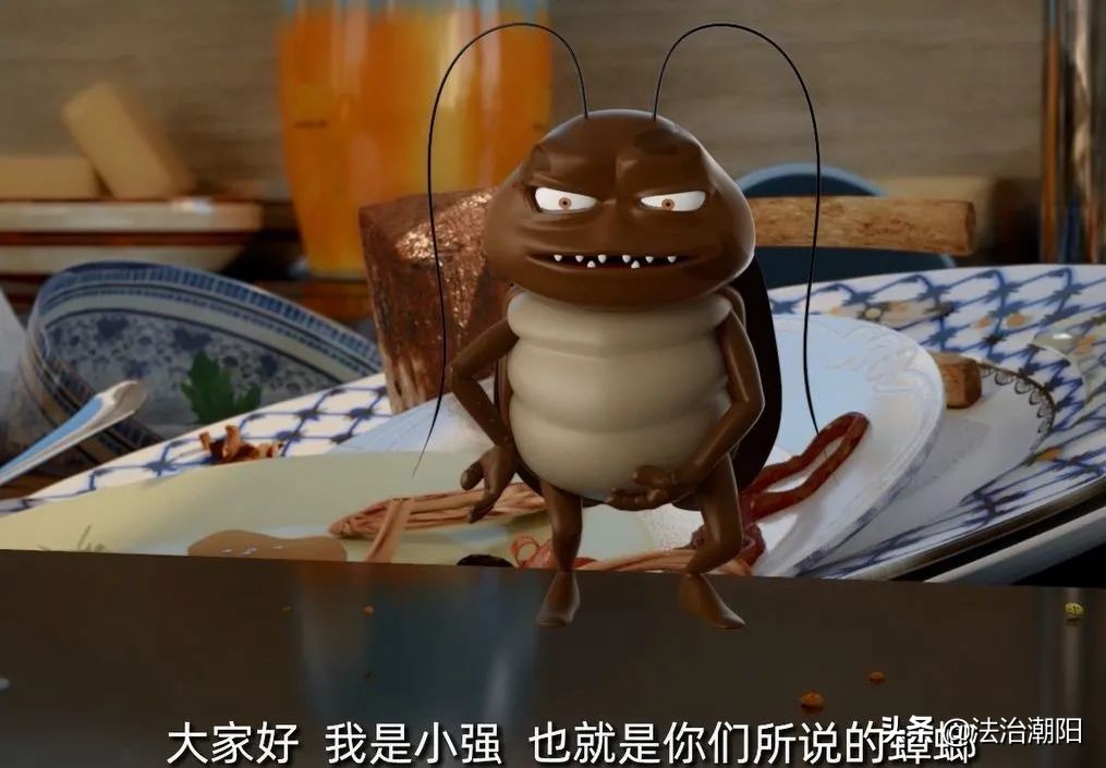 灭蟑螂最好的方法一招解决,蟑螂怎么灭杀最好方法