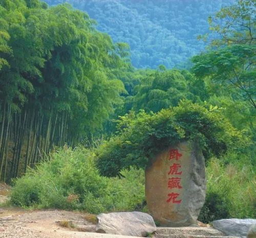 中国醉美云和梯田,中国醉美梯田景观