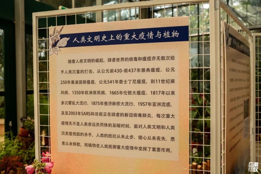 300+万㎡原始森林秘境，天河就有