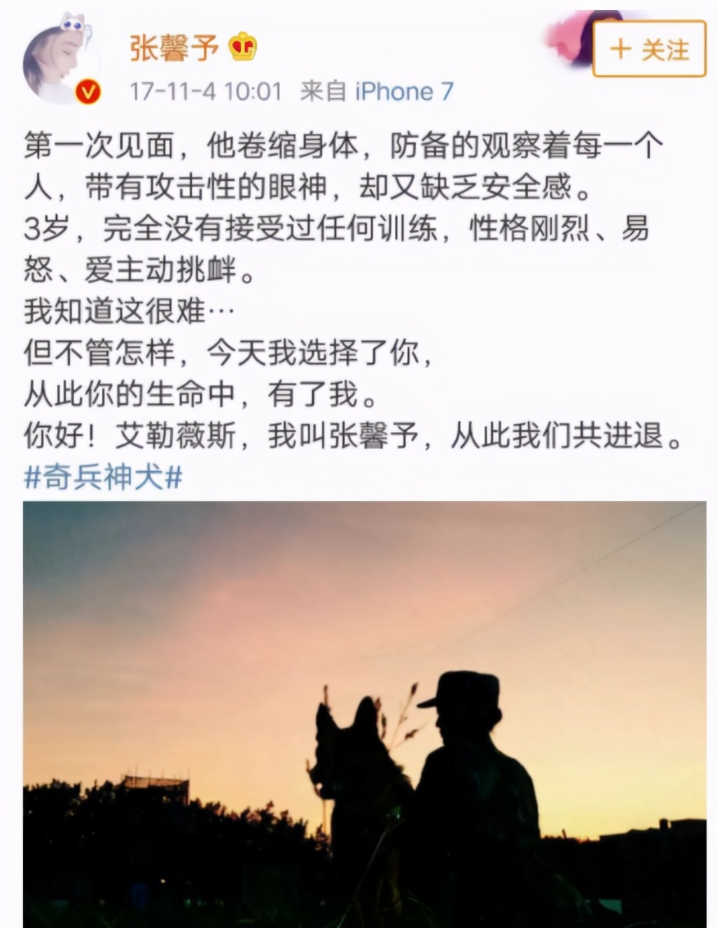 张馨予美女,网游张馨予